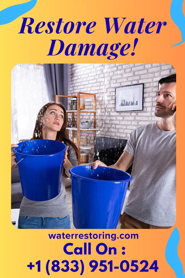 water restoration Southern Extraction Specialists Dryden