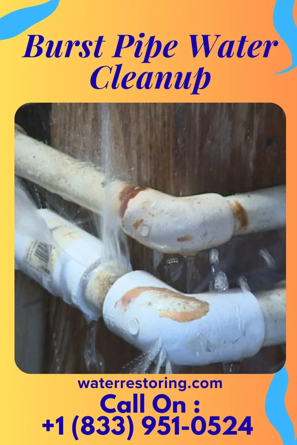 Burst Pipe Water Cleanup in Dryden, MI