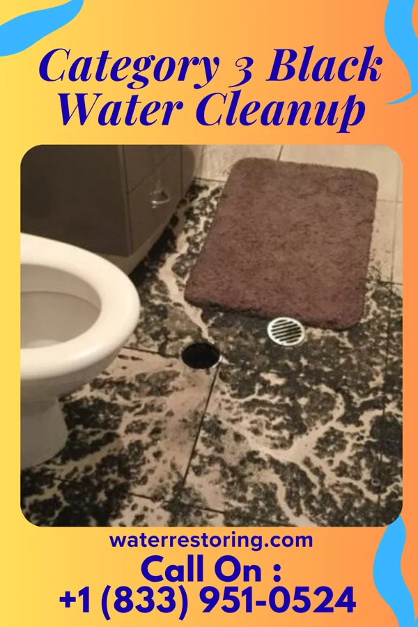 Category 3 Black Water Cleanup in Dryden, MI
