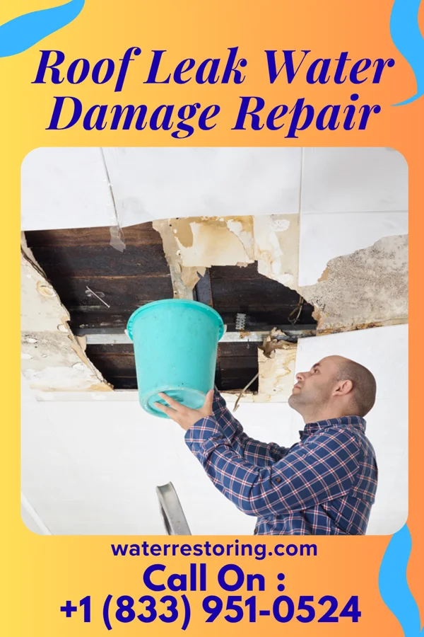 Roof Leak Water Damage Repair in Dryden, MI